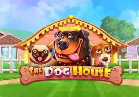 The Dog House 